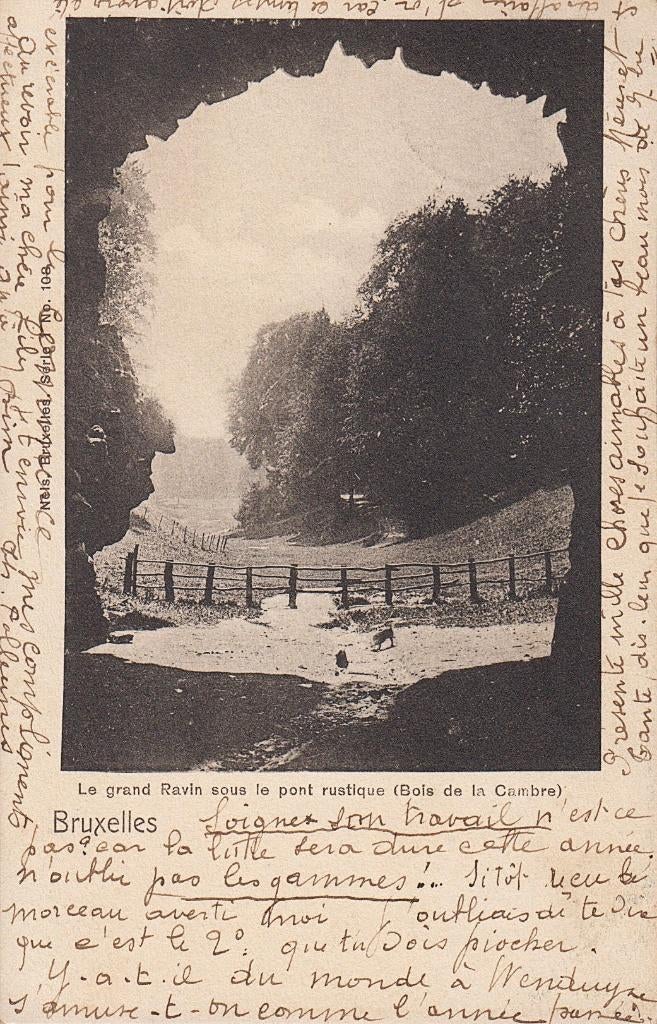 1903 - BELGIË - Brussel: Ter Kamerenbos + BRUXELLES, Verzamelen, Postkaarten | België, Gelopen, Brussel (Gewest), Voor 1920, Verzenden