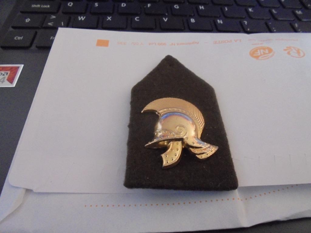 genie kraagspiegel, Ophalen of Verzenden, Landmacht, Embleem of Badge