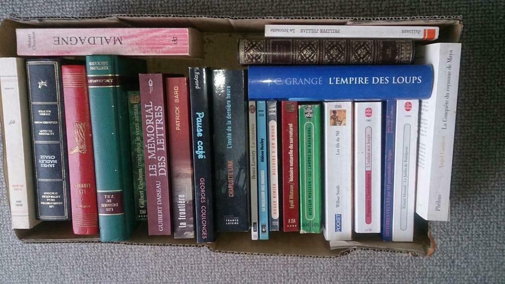 Boîte de livres: une vingtaine, Enlèvement ou Envoi, Utilisé