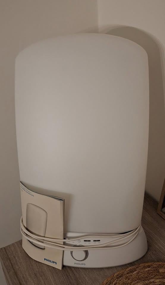 Philips daglichtlamp, Ophalen of Verzenden, Gebruikt