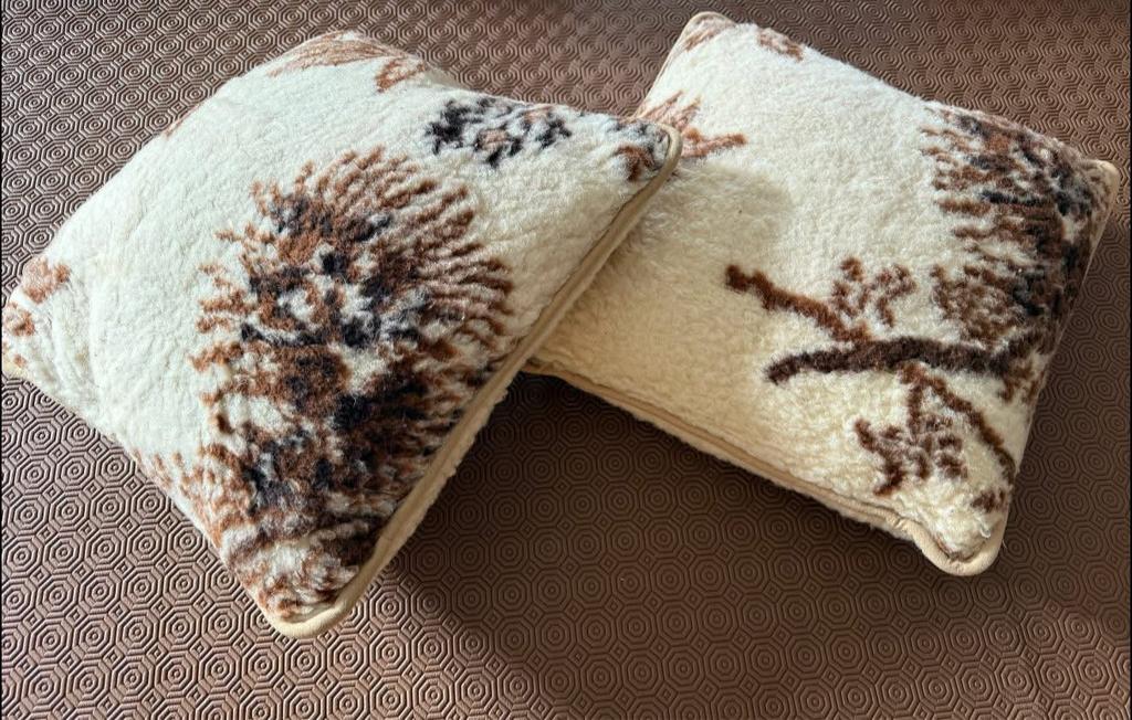 Lot de 2 coussins décoratifs style montagne, Enlèvement ou Envoi, Utilisé, Beige