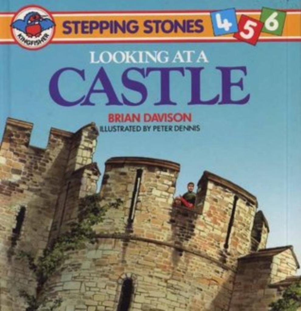 "Looking at a castle" Brian Davidson (1989), Enlèvement ou Envoi, Brian Davidson, Comme neuf, Non-fiction