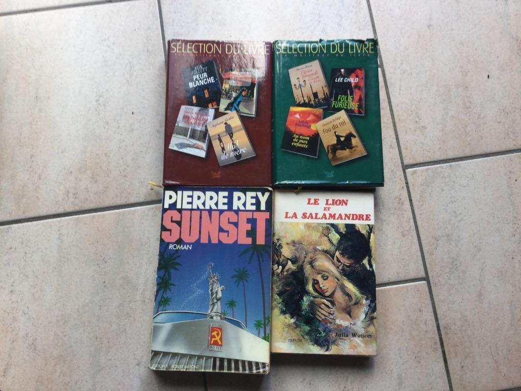 "P.REY SUNSET"LION&SALAMANDRE"DIVERS..., Antiquités & Art, Antiquités | Livres & Manuscrits, Enlèvement ou Envoi