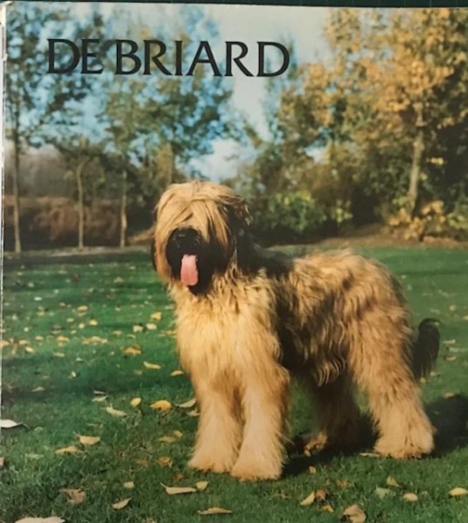 De Briard, Ophalen, Honden