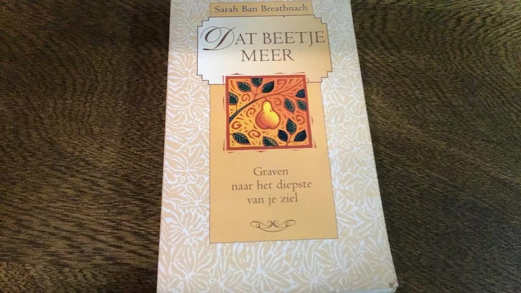 Sarah Ban Breathnach - Dat beetje meer(Q), Boeken, Esoterie en Spiritualiteit, Gelezen, Ziel of Sterfelijkheid, Verhaal of Roman
