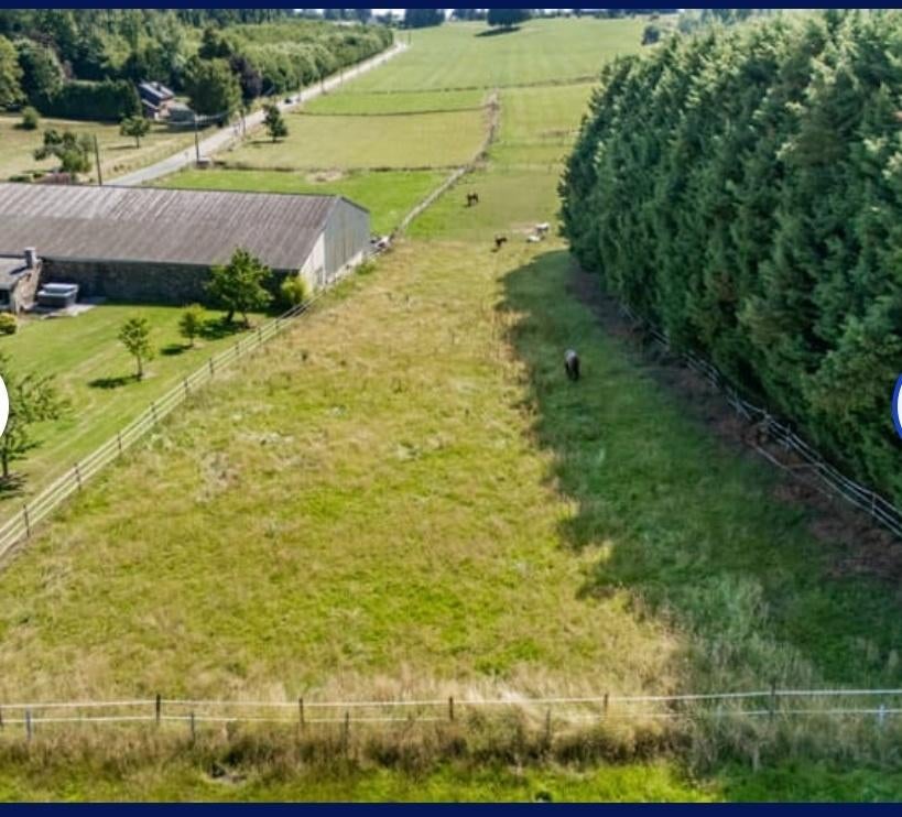 Terrain à vendre, Ouffet, 1000 à 1500 m²