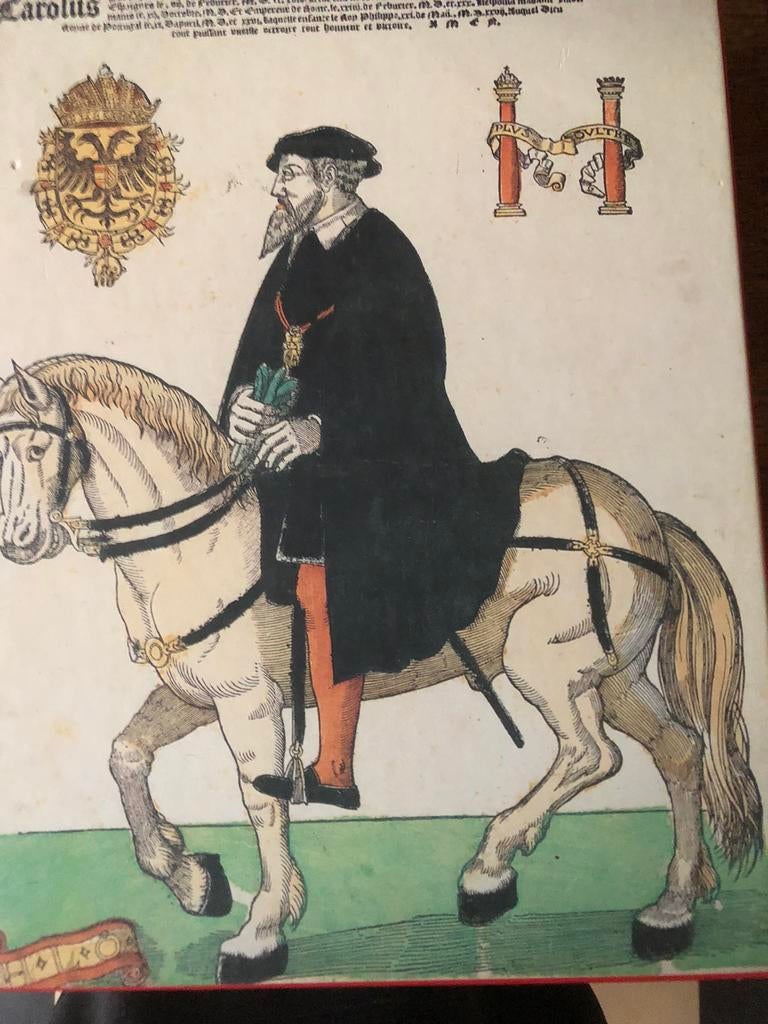 Charles V Mercator-achtergrond, Boeken, Zo goed als nieuw