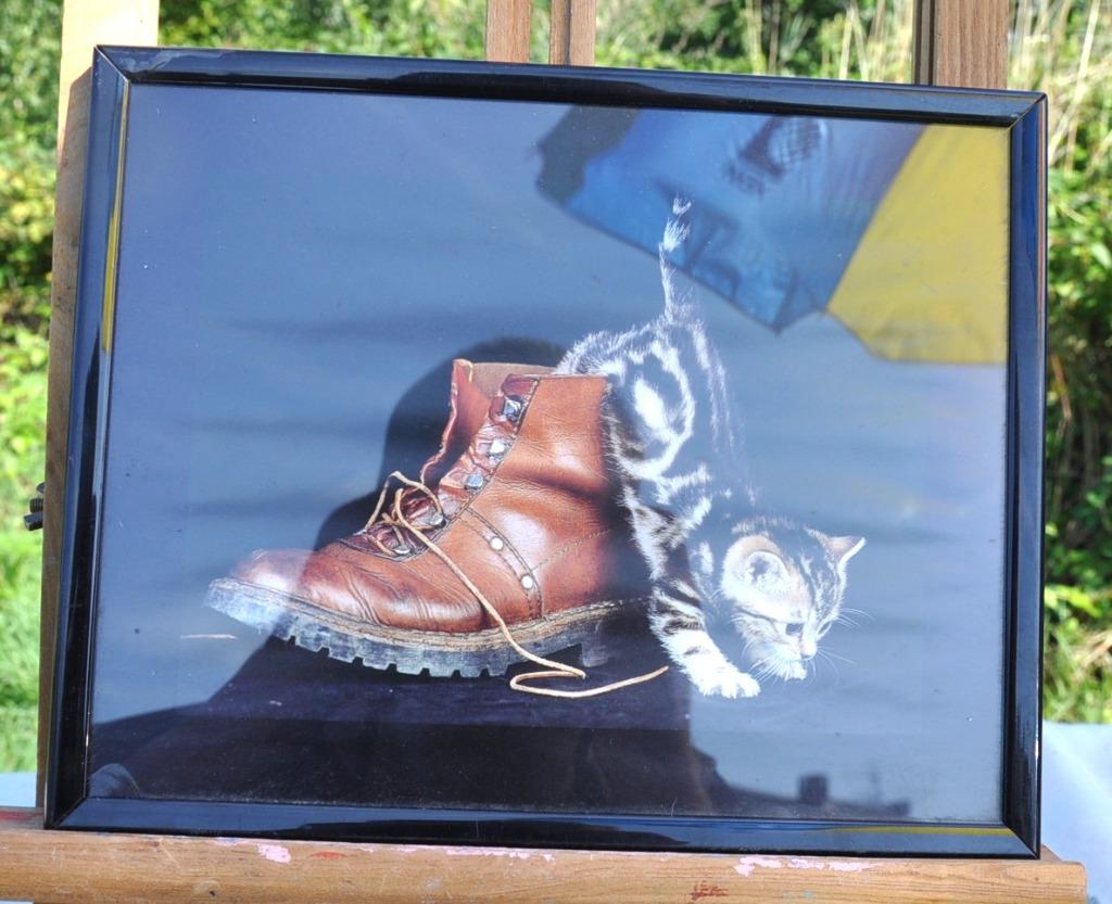 cadre plexi avec chat dans une chaussure, Enlèvement ou Envoi, Utilisé