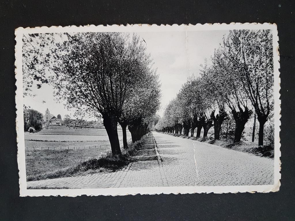 Postkaart Berchem Oudenaarde Kwaremontberg, Verzamelen, Postkaarten | België, Gelopen, Oost-Vlaanderen, 1940 tot 1960, Ophalen of Verzenden
