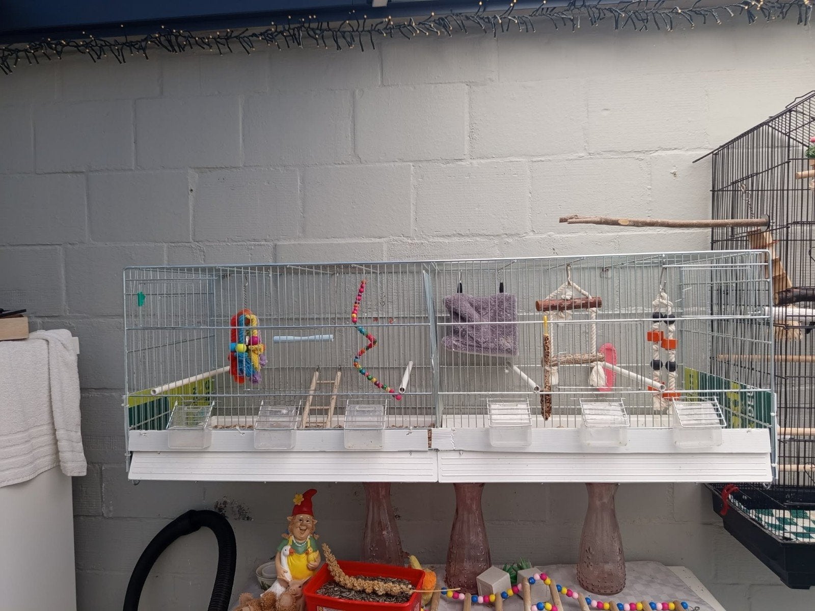 Vogelkooi, Dieren en Toebehoren, Ophalen