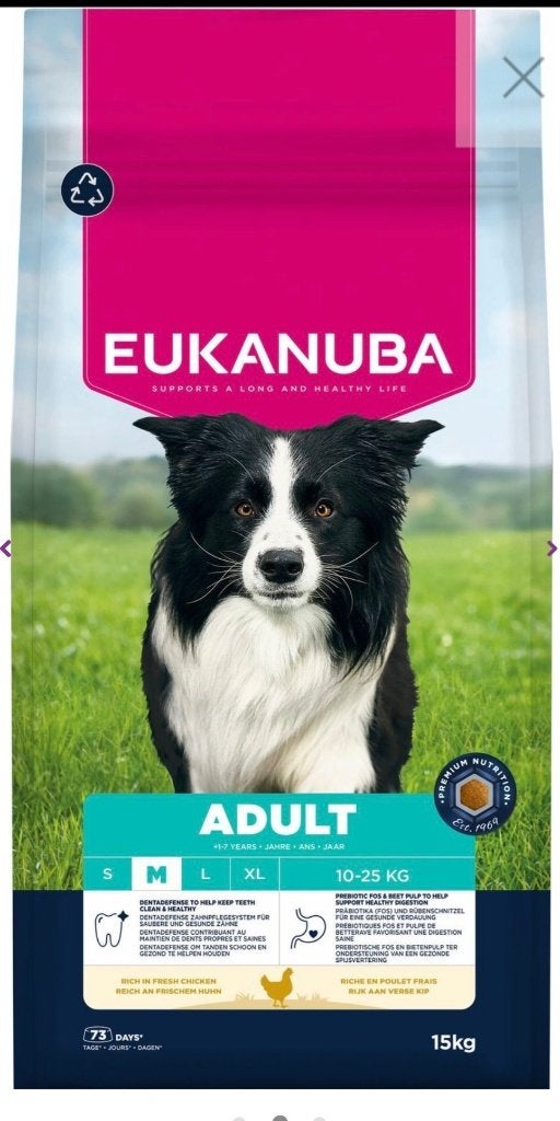Putte de Bruxelles jaune Eukanuba M, 15 kg, adulte, Enlèvement ou Envoi, Chien