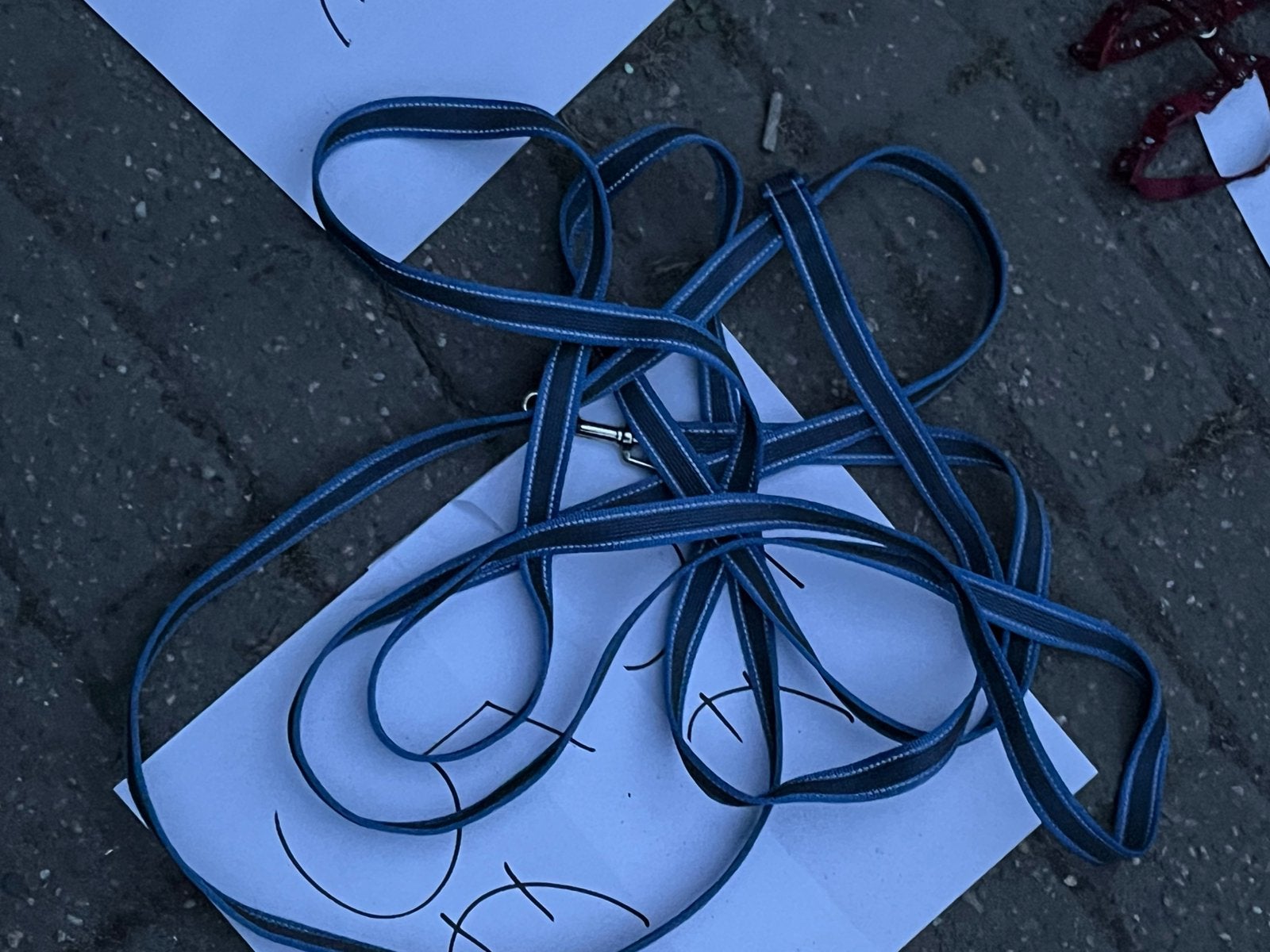 Lange loopband 2 metalen en 1 nylon, Dieren en Toebehoren, Honden-accessoires, Overige merken, Ophalen, Zo goed als nieuw, Hondenriem