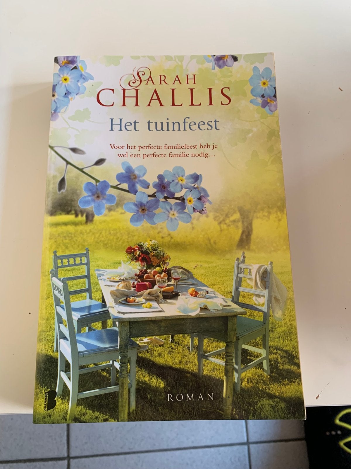 Sarah Challis - Het tuinfeest, Boeken, Chicklit, Ophalen of Verzenden, Zo goed als nieuw