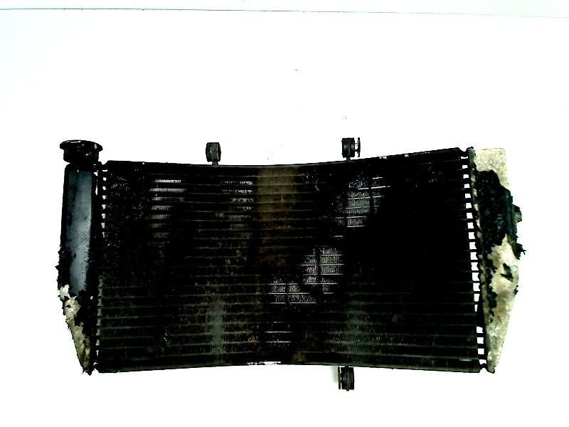 Honda Radiateur CBR 954 FIREBLADE 2002-2003 (SC 50), Motoren, Ophalen of Verzenden, Gebruikt