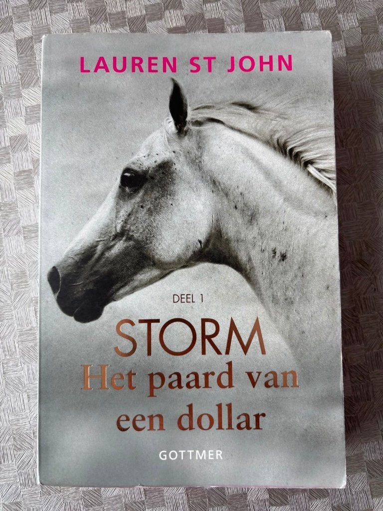 Storm deel 1:  Het paard van een dollar - Lauren St John, Livres, Livres pour enfants | Jeunesse | 10 à 12 ans, Fiction, Lauren St John