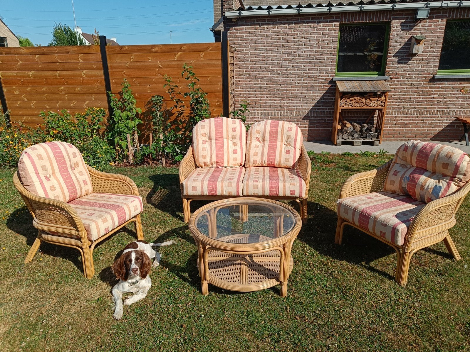 Rotanset met kleurrijke kussens, Tuin en Terras, Tuinsets en Loungesets, Ophalen, 4 zitplaatsen, Gebruikt, Rotan
