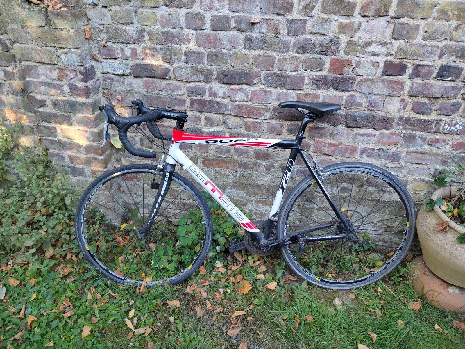 zannata koersfiets, Ophalen