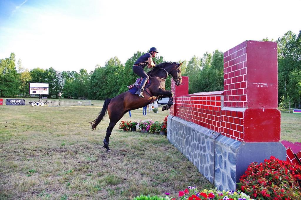 Drachtige merrie van trouble balou, Jument