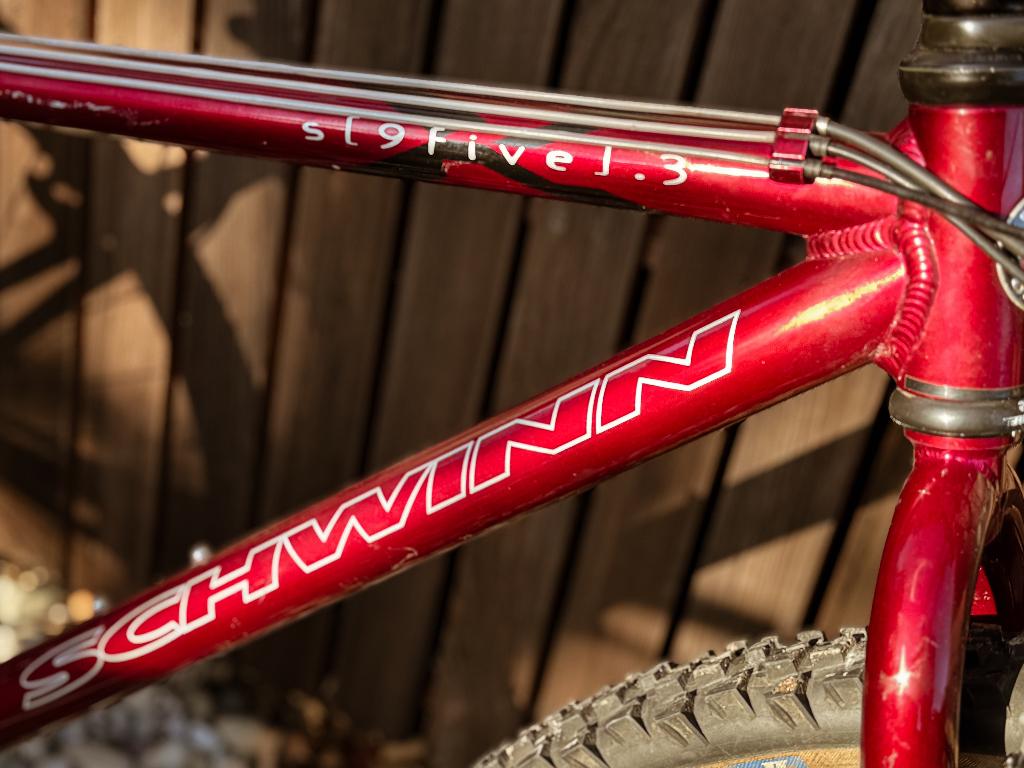 VTT Schwinn, Enlèvement