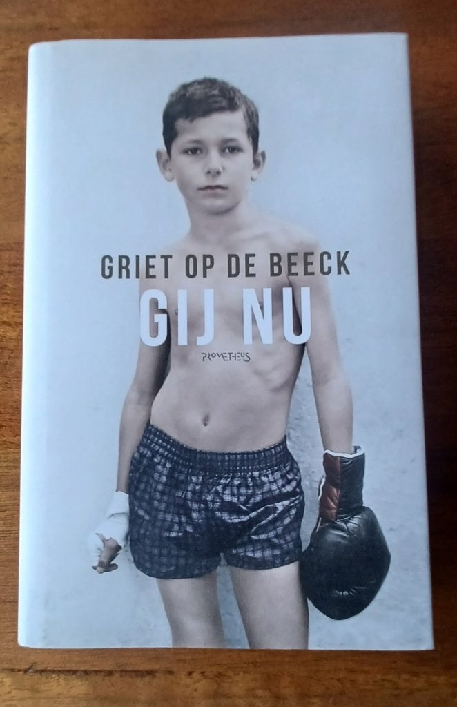 Romans aan 5 euro per stuk // 3 voor 10 euro //, Boeken, Ophalen of Verzenden