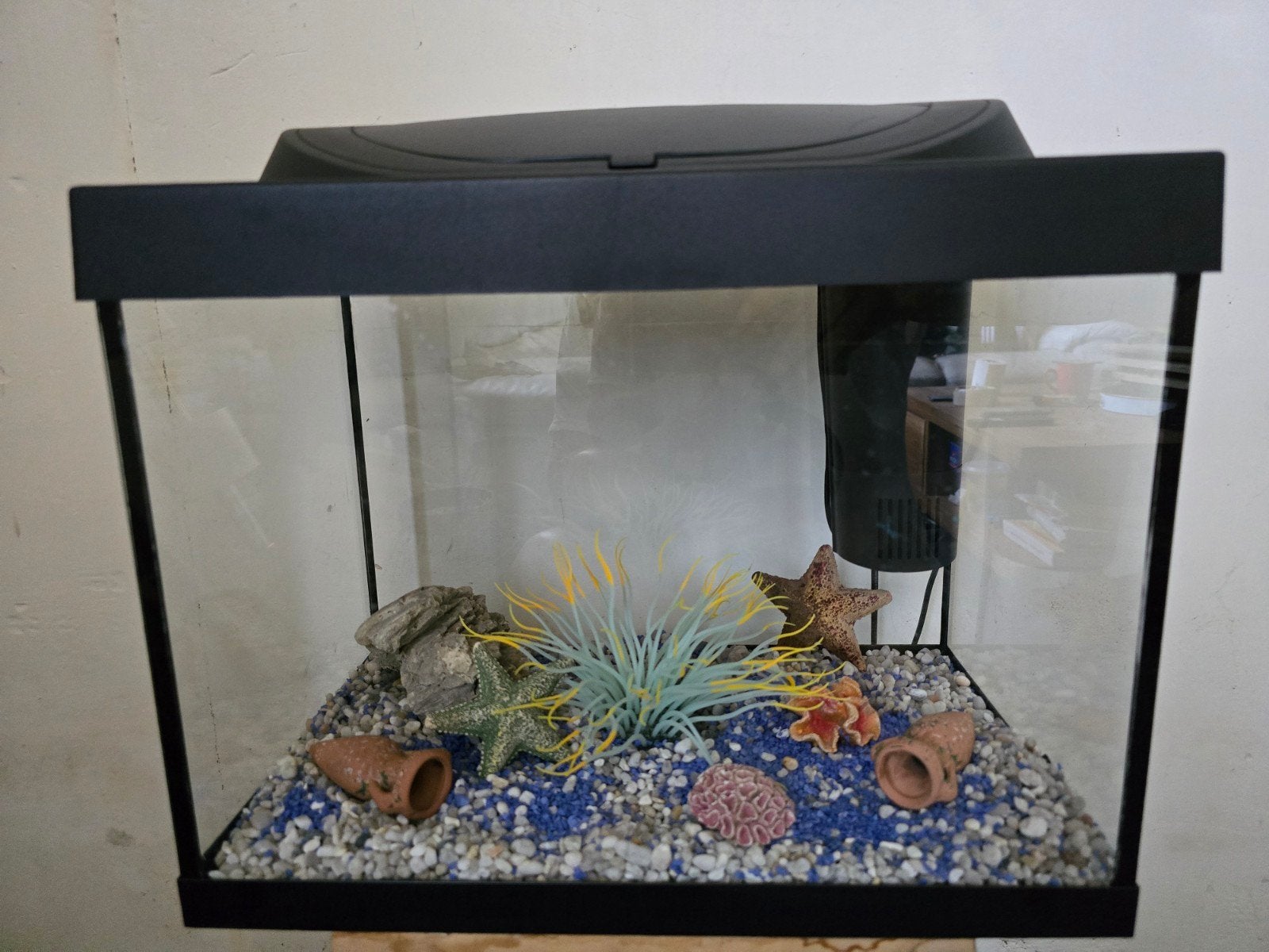 aquarium tétra complet, Animaux & Accessoires, Enlèvement