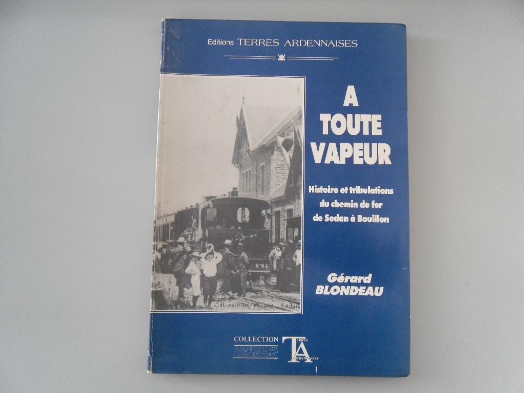 A toute vapeur - Histoire et tribulations du chemin de fer.., Livres, Transport, Utilisé, Train, Enlèvement ou Envoi