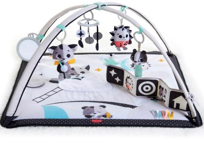 Speelmat Tiny love, Kinderen en Baby's, Ophalen, Zo goed als nieuw