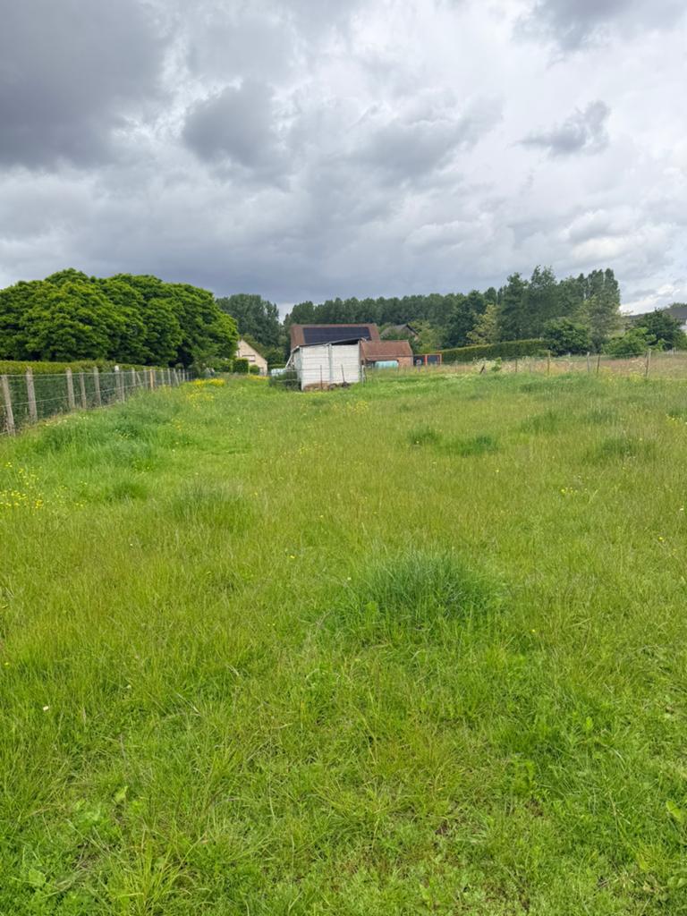 2 weides te huur Ternat, Dieren en Toebehoren, Stalling en Weidegang