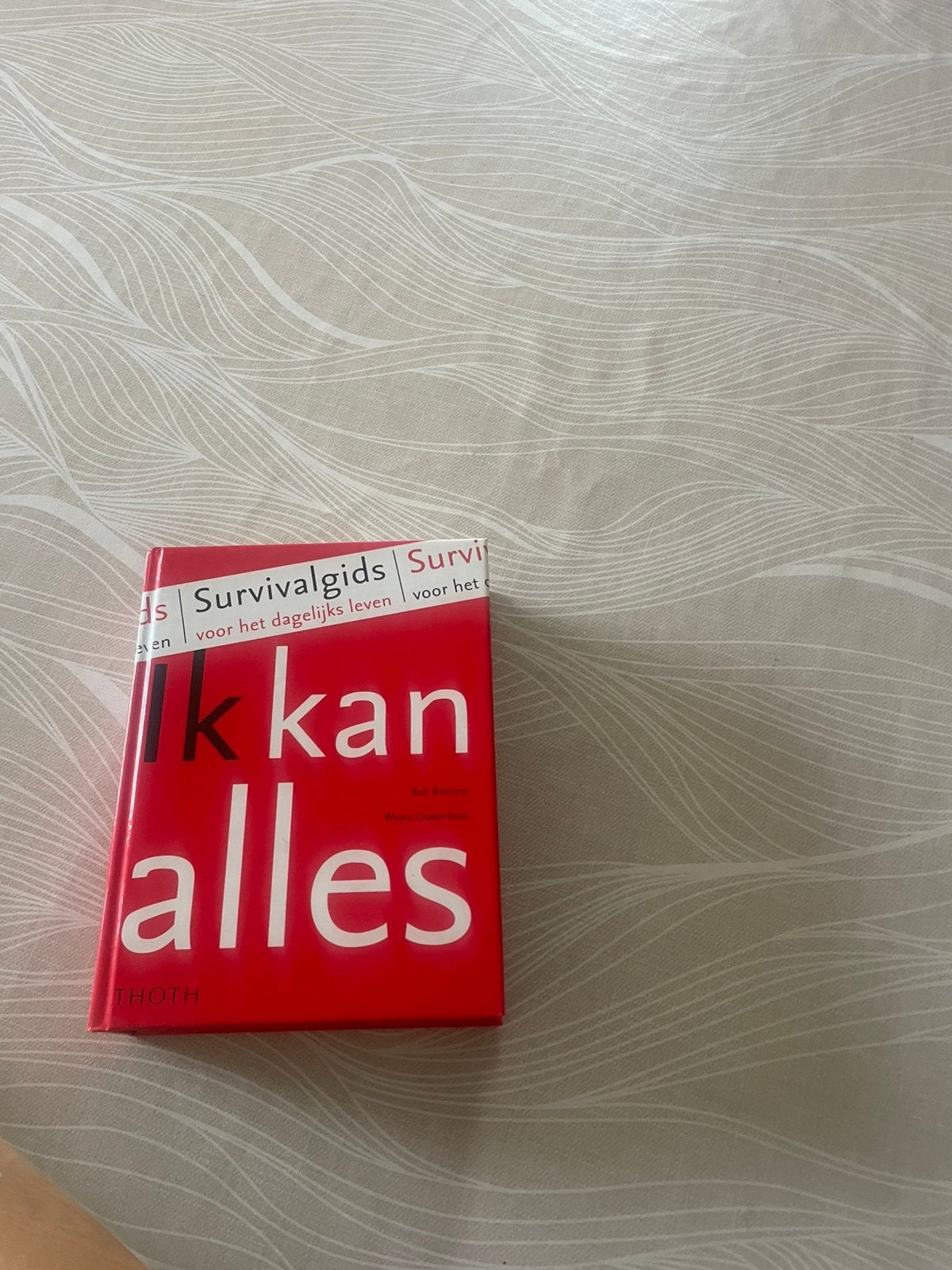 Boeken, Informatique & Logiciels, Enlèvement ou Envoi, Comme neuf