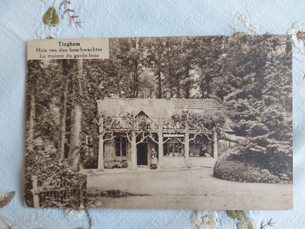 oude postkaart van " Tieghem ", Verzamelen, Ophalen of Verzenden, 1920 tot 1940, Gelopen, West-Vlaanderen