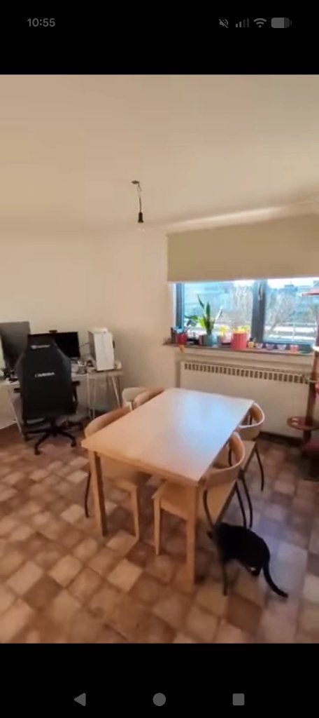 Gratis tafel met 4 stoelen, Ophalen, Gebruikt, Vier personen, Rechthoekig