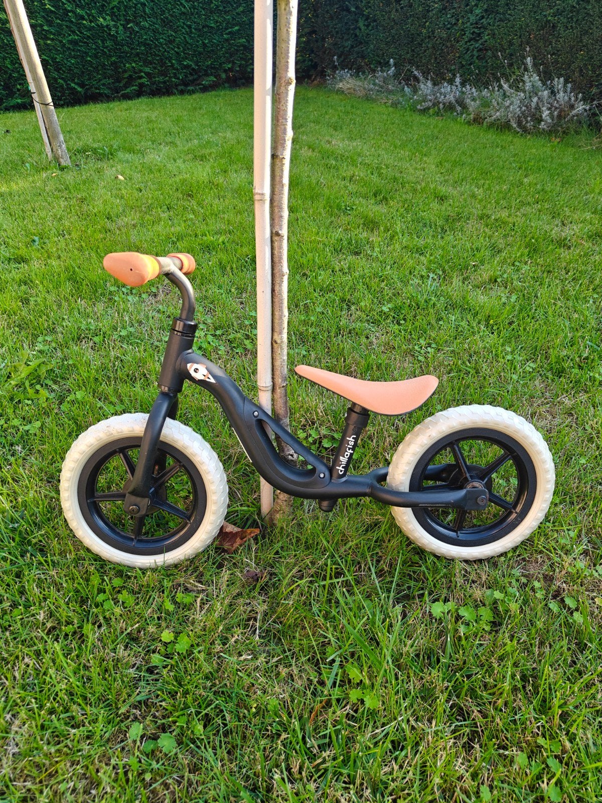 loopfiets chillafish, Ophalen, Zo goed als nieuw, Loopfiets