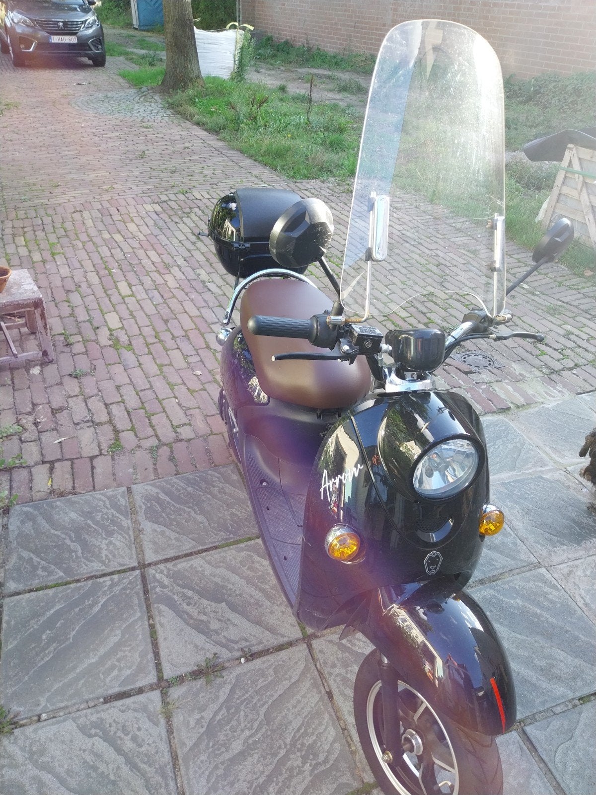 elektrische scooter 25km/uur en helm, Motos, Scooter, Occasion, Particulier