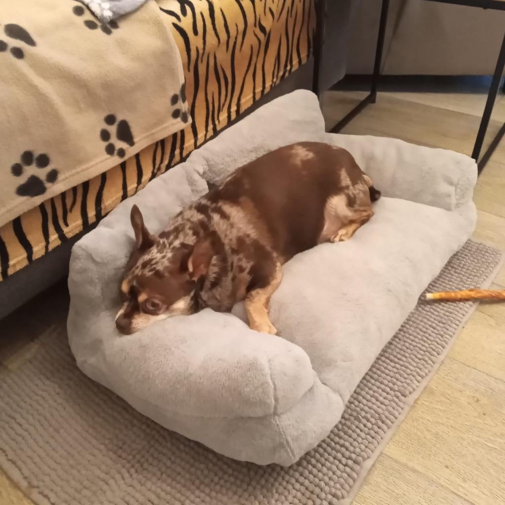 Nieuwe leuke honden zetel, Dieren en Toebehoren, Ophalen