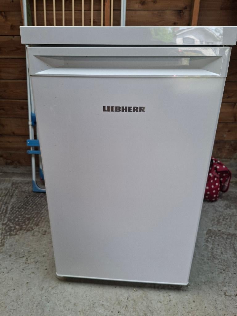 Koelkast Liebherr RD1201, 75 tot 100 liter, Zo goed als nieuw, 45 tot 60 cm, Met vriesvak