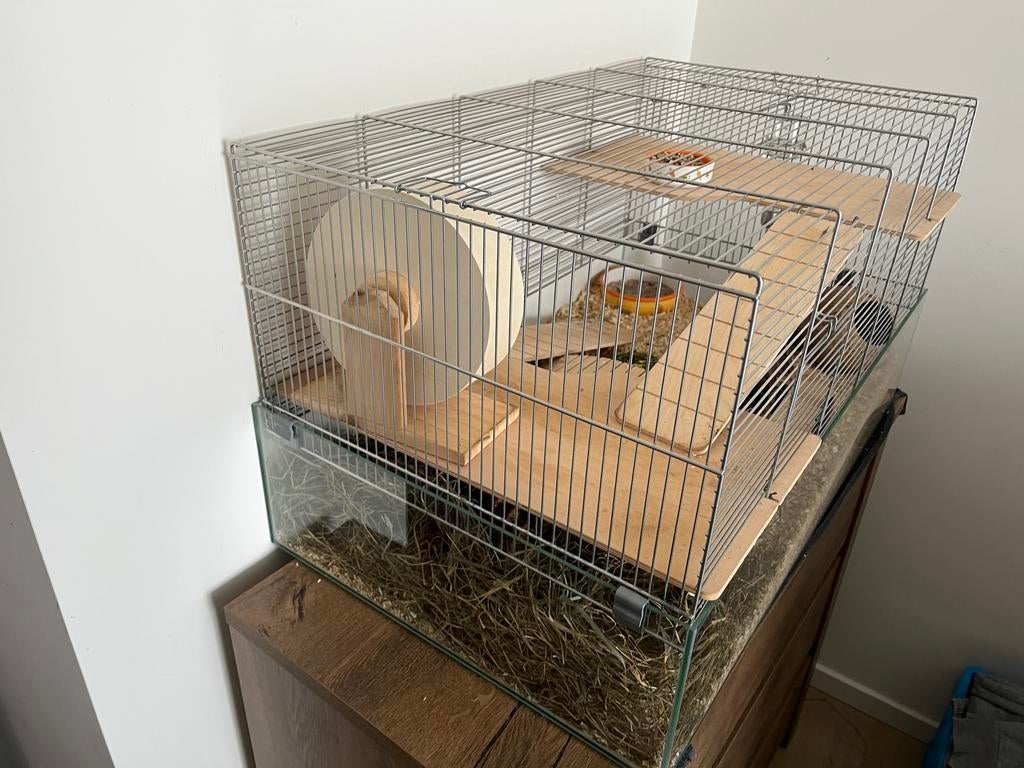 Kooi voor kleine dieren (78 x 47 x 44 cm), Kooi, Zo goed als nieuw, Hamster, 75 tot 110 cm