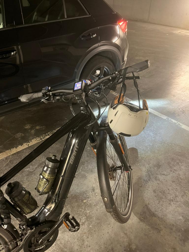 Giant Explore E+1 Pro 45, Fietsen en Brommers, Elektrische fietsen, Ophalen