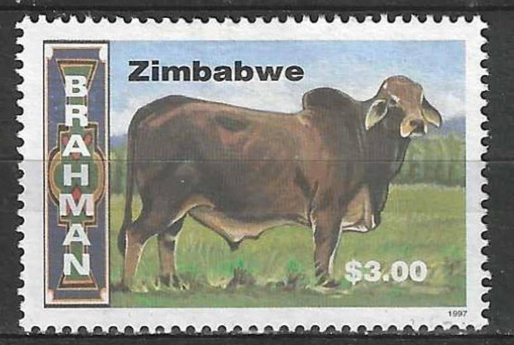 Zimbabwe 1997 - Yvert 366 - Races bovines au Zimbabwe (ST), Envoi, Zimbabwe, Affranchi