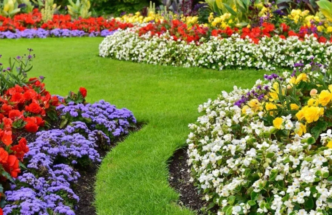 Huizen opfrissen - tuinman - huizen verkoopsklaarmaken, Diensten en Vakmensen, Tuinmannen en Stratenmakers