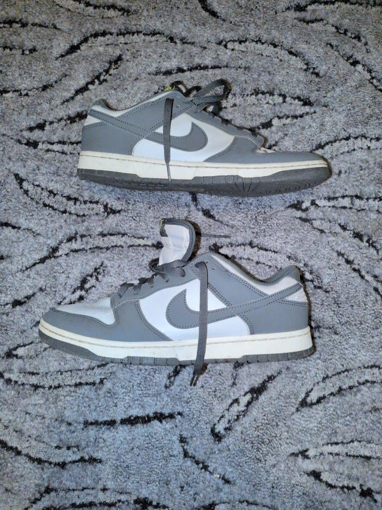 Paire de dunk, Chaussures de marche, Autres couleurs, Nike, Porté