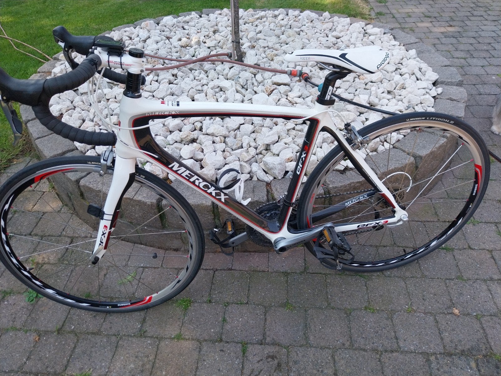 Koersfiets Eddy Merckx Efx3 carbin, Ophalen, Carbon, Dames