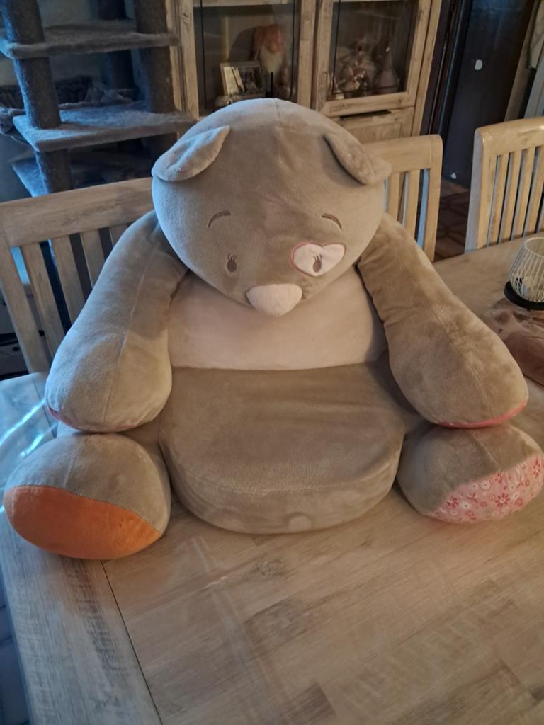 Fauteuil enfants marque Noukies, Enlèvement
