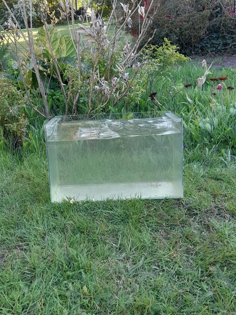 Aquarium, Ophalen