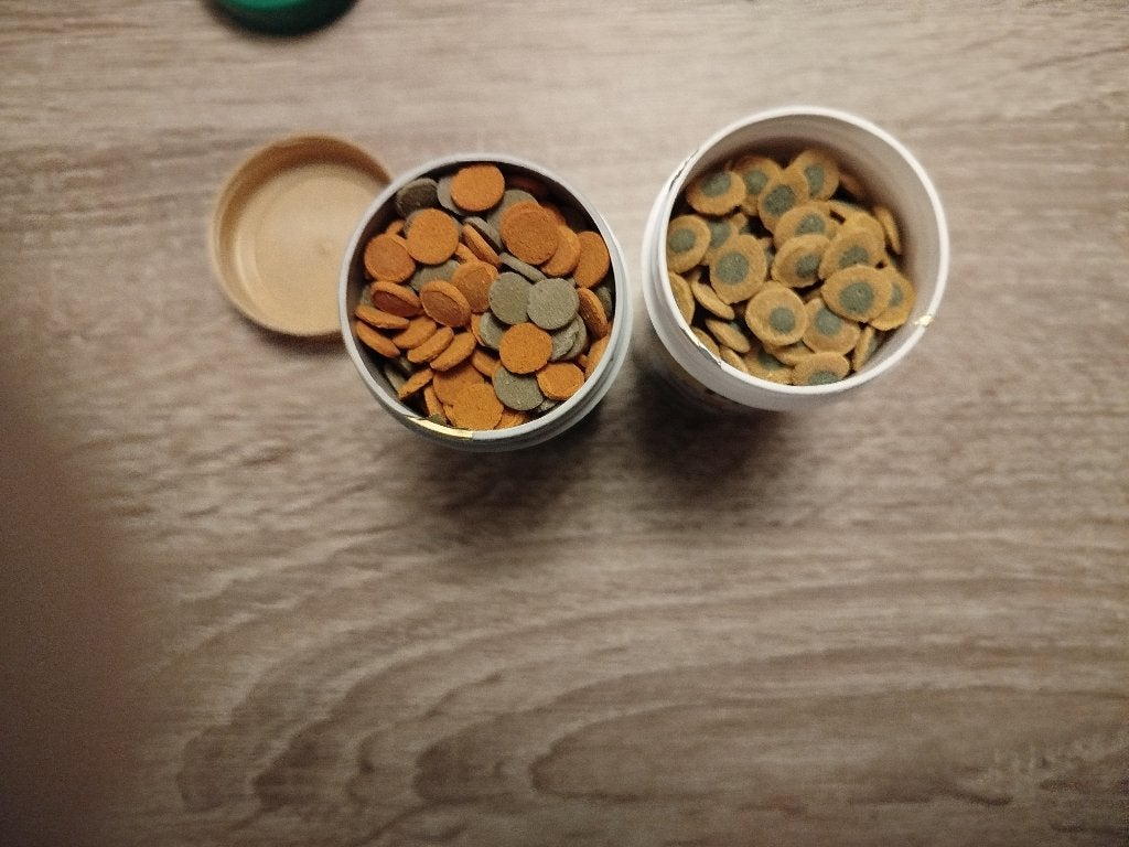 Voer voor bodem vissen, Vis, Zoetwatervis, Schoolvis