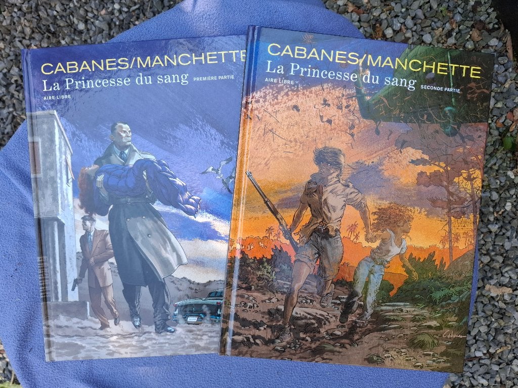 AIRE LIBRE LA PRINCESSE DU SANG TOMES 1 ET 2 SERIE COMPLETE, Livres, BD, Série complète ou Série, Enlèvement ou Envoi, Comme neuf