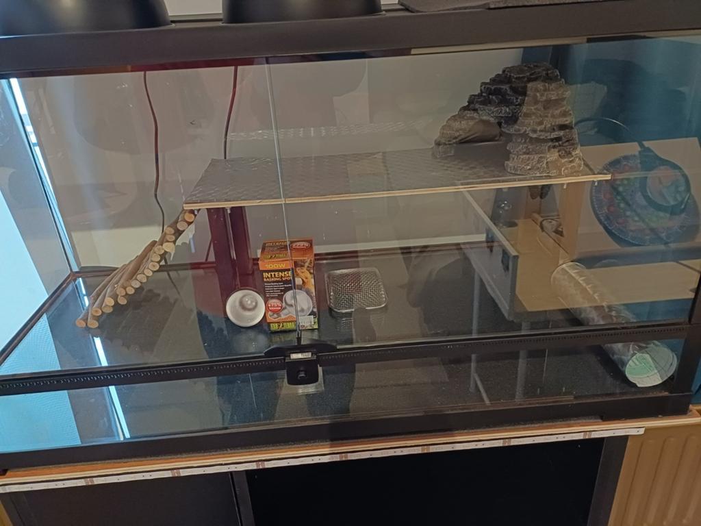 Terrarium  91 breed op 46 diep op 46 hoog, Enlèvement