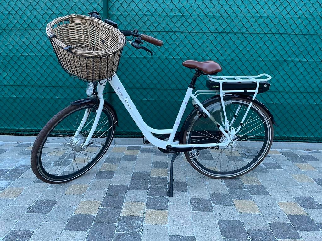 Elektrische fiets, Ophalen, Gebruikt, Overige merken