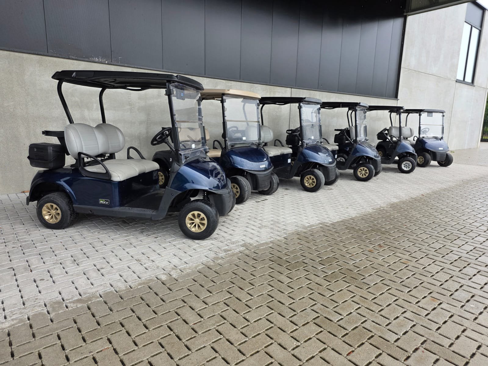 Golfcar-Golfkar Ezgo RXV Lithium 2020, Ophalen, Gebruikt, Golfkar