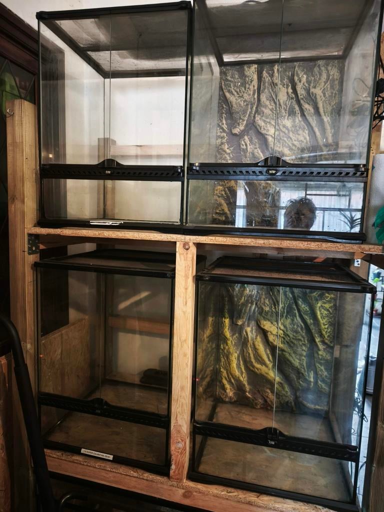 4 x Exoterra 45x45x60, Dieren en Toebehoren, Ophalen, Gebruikt, Terrarium of Paludarium