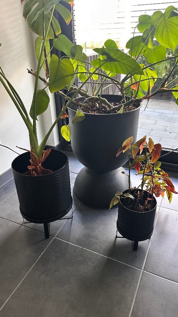 Set van 3 design bloempotten met planten, Ophalen, Gebruikt, Overige materialen, Binnen